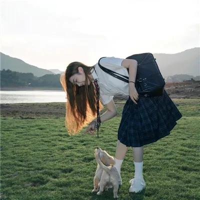 拜访森林